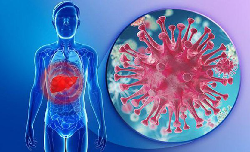 4 loại virus viêm Gan bạn cần biết để bảo vệ sức khỏe bản thân