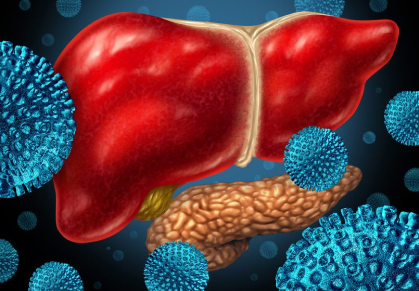4 loại virus viêm Gan bạn cần biết để bảo vệ sức khỏe bản thân